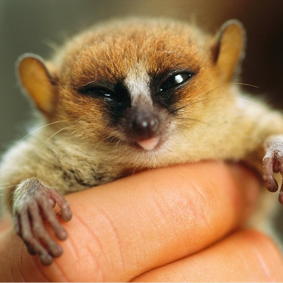 Meet Your Posher, Liz - Picture 5 of 8